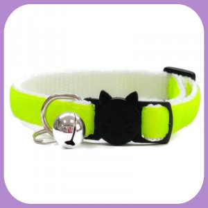 Collar-173